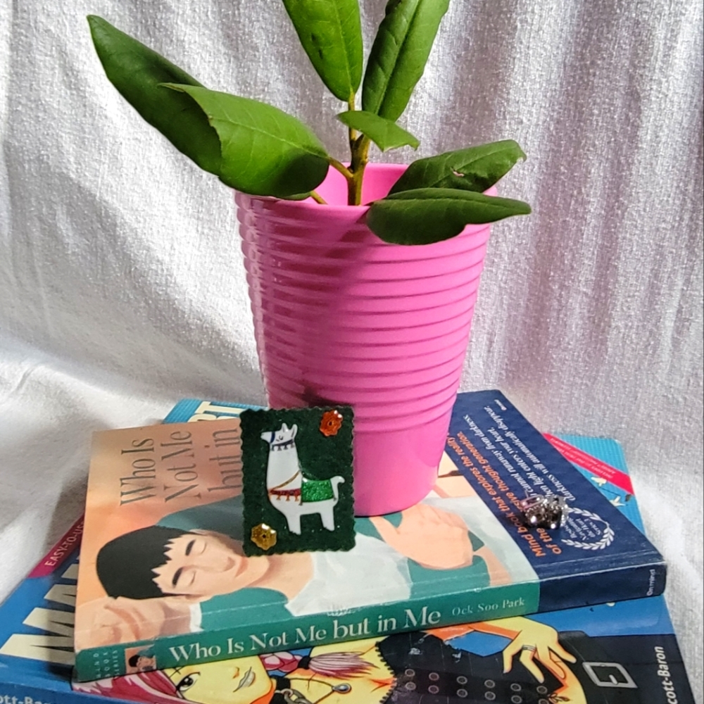 Bubble Pink Rippled Ceramic Pot